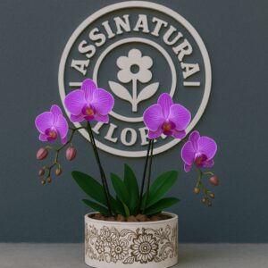 Orquídea